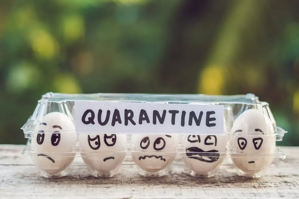Quarantine rules for travellers explained