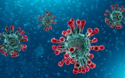 How Is The Coronavirus Affecting Export?